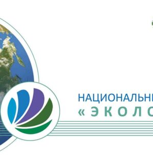Реализация национального проекта «Экология» будет продлена до 2030 года