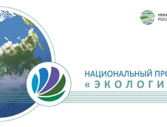 Реализация национального проекта «Экология» будет продлена до 2030 года