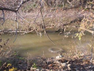 Уровень загрязнения поверхностных водных объектов в Самарской области